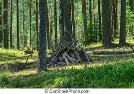 images (54)